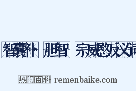 智囊补·胆智·宗威愍反义词是什么意思的图片